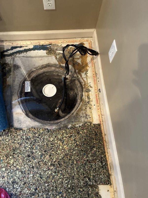 Conducted comprehensive assessment of 16-year-old sump pump system in residential basement to provide estimate for replacement unit. Evaluated existing operational pump, basin installation, discharge piping, and electrical connections. Documented significant moisture damage, water staining on surrounding floor joists and framing, and evidence of mold growth around basin perimeter, indicating historical water intrusion issues that will require remediation during pump replacement.