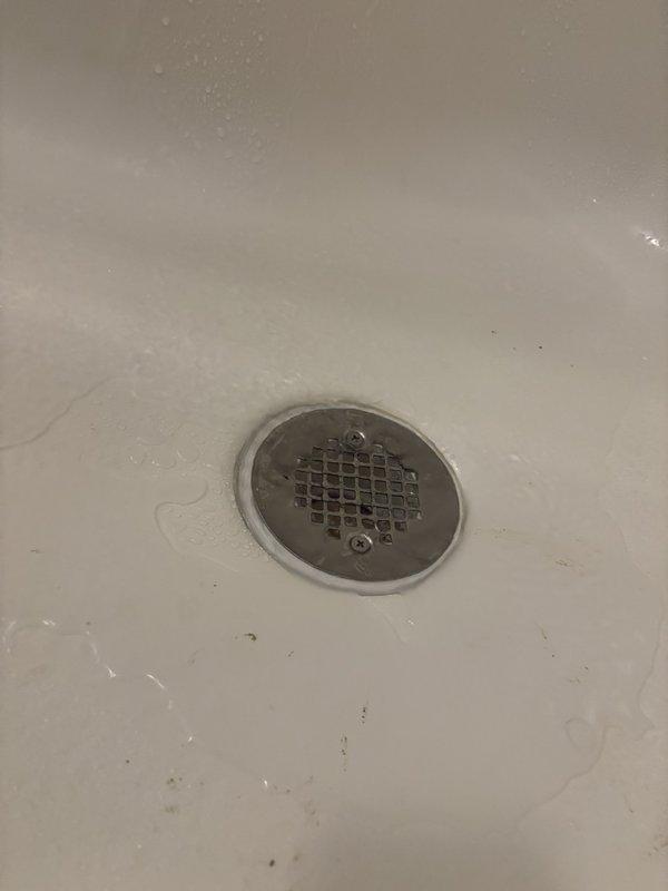 Completed shower drain replacement in residential bathroom, removing existing worn drain assembly and installing new chrome-plated drain cover with debris screen. Accessed P-trap configuration from below through subfloor, verifying proper drainage and trap seal functionality with white PVC piping and fittings properly secured through OSB decking.
