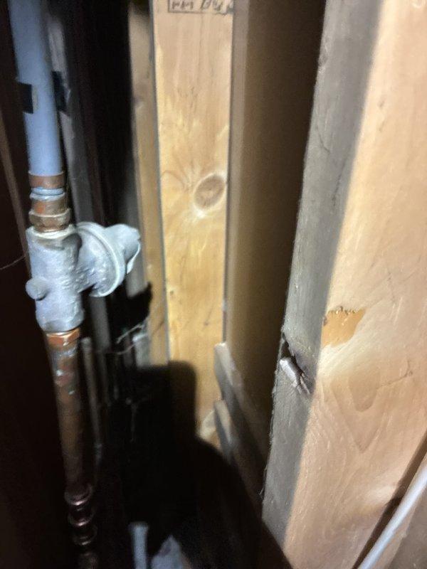 Performed plumbing inspection of basement utility area and water heater installation. Documented existing State ProLine water heater with copper and galvanized piping connections, expansion tank, and exposed plumbing infrastructure in unfinished space with proper insulation present between wall studs.
