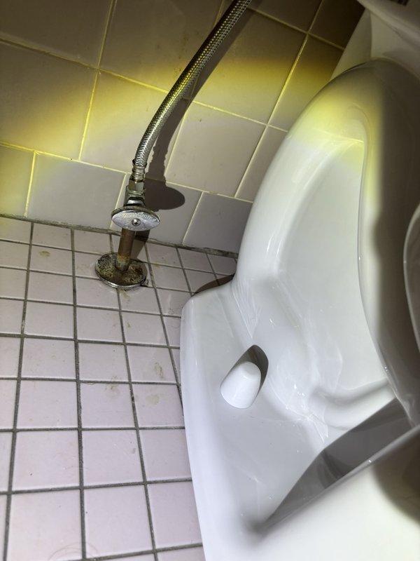 Responded to service callback for recently installed toilet with improperly secured floor mounting bolts. Tightened closet bolts at toilet base to manufacturer specifications and properly installed decorative caps to ensure secure fixture mounting. Verified toilet stability and inspected installation for proper seal and alignment.