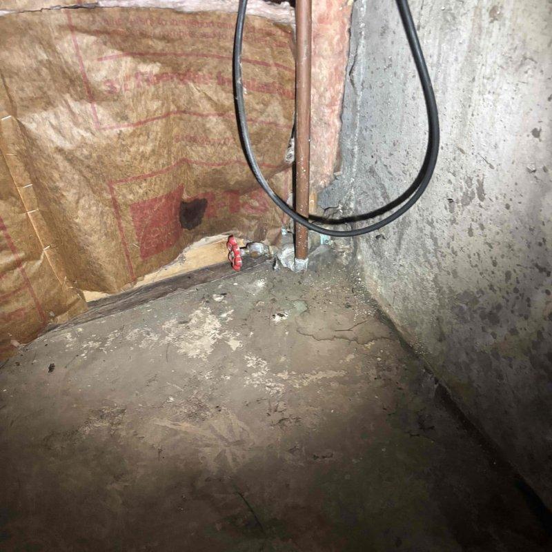 Responded to service call for no hot water condition affecting entire residence. Upon arrival, located water heater in basement area and performed comprehensive diagnostic assessment. Inspection revealed failed water heater requiring replacement. Documented existing plumbing infrastructure including copper supply lines, shut-off valve configuration, and electrical connections in unfinished basement space. Photographed installation area showing exposed stud walls with insulation, concrete flooring, and existing utility routing to provide accurate estimate for water heater replacement and associated connection work.