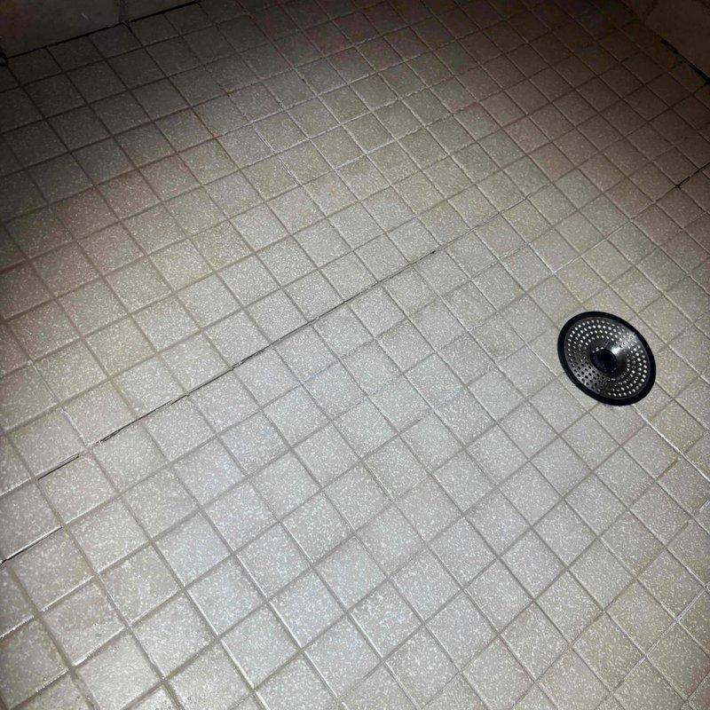 Completed comprehensive whole home plumbing inspection including all fixtures, water supply lines, drain systems, and water heater. Performed requested sump pump evaluation to verify proper operation and float switch functionality. Documented shower floor drain conditions with photographic evidence showing tile separation near drain assembly and potential grout deterioration requiring monitoring for water intrusion issues.