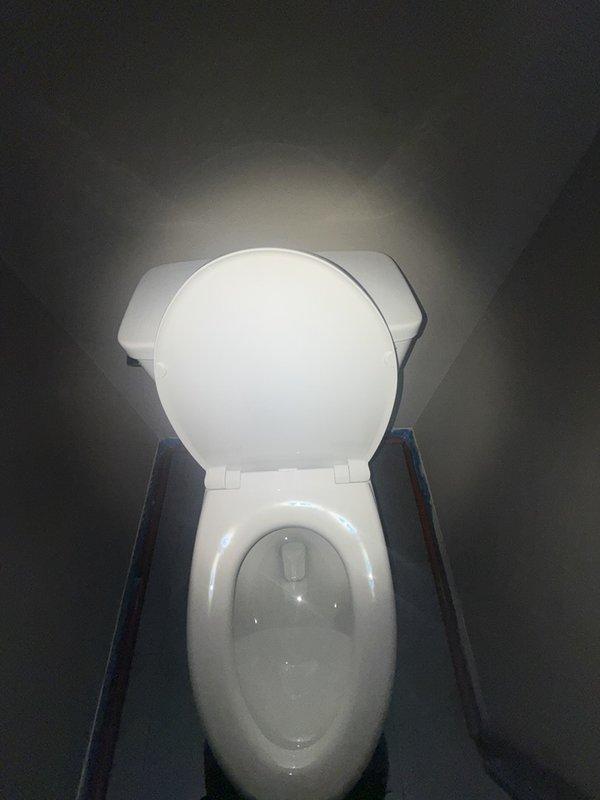 Completed installation of customer-supplied toilet in residential bathroom. Removed existing fixture, installed new wax ring to create proper seal between toilet and waste flange, and secured toilet to floor. Verified proper operation, checked for leaks, and confirmed water supply connection functioning correctly. Installation includes accessibility features with wall-mounted grab bars on both sides of fixture for safety compliance.