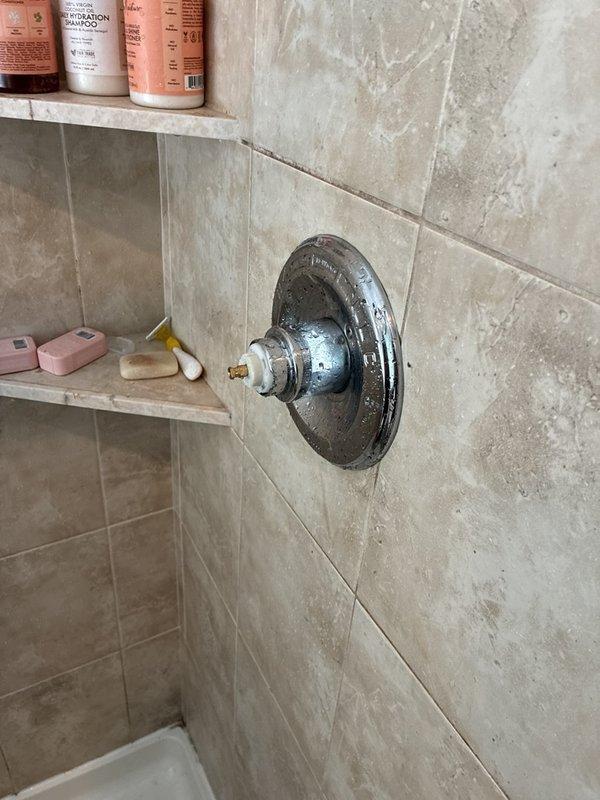 Diagnosed a leaking master shower faucet and removed the handle, revealing a degraded, deformed plastic stem adapter and mineral buildup around the valve stem. The aged valve cartridge, estimated at 20 years old, appears to have failed, but the valve could not be removed for further inspection. The shower supply was capped to stop the leak, and cartridge or valve replacement is recommended.