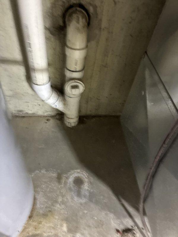 Performed annual plumbing maintenance including a flush of the tanked water heater to remove sediment buildup and restore heating efficiency. Inspected the surrounding PVC drain piping and cleanout fitting, noting staining and moisture residue on the adjacent floor, and checked the angle stop valve and braided supply line, observing an aged, discolored escutcheon and deteriorated drywall opening at the wall penetration. Recommend monitoring the noted areas for leaks and scheduling repair of the worn valve escutcheon and wall opening as needed.