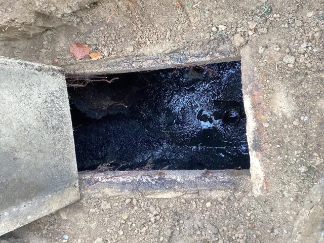 
I was called out to a property in Newton Grove to fix a septic system that was full. I pumped out the septic tank and cleaned it up. The customer no longer saw signs of back up.