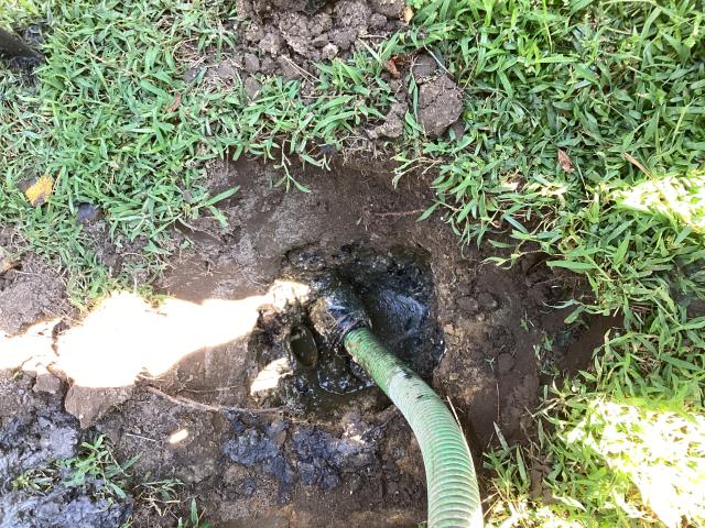 
We were called out to a customer's home in Kinston due to signs of back up in the home. We went out and found that the septic system was full and needed to be pumped out. We pumped out the septic tank and cleaned out the drain lines. The customer is no longer seeing signs of back up in the home.