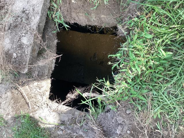 
I was called out to a customer's home in Kinston to address a septic system backup issue. Upon arrival, I found that the septic tank was full and needed to be pumped out. i pumped out the septic system and cleaned it up. The customer was very satisfied with the results and no longer has any issues with the septic system.