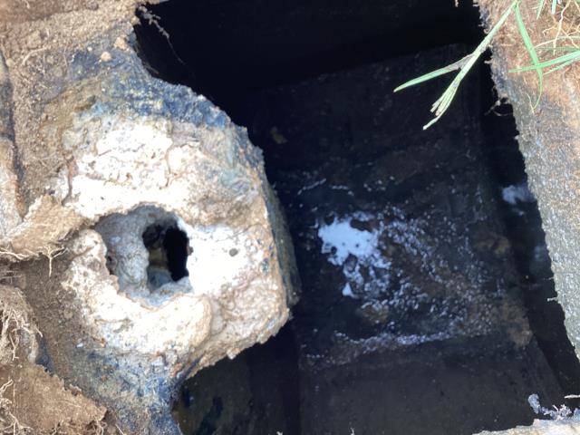 We went out to this mobile home park in Dudley to check on the condition of their septic systems. At this property was found that the septic system needed to be pumped out and that the system is not in good condition. 