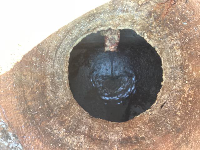 
We went out to the Wayne UNC hospital to do their scheduled maintenance. We pumped out the grease trap and cleaned it up. The hospital no longer has to worry about the grease trap backing up and making a mess.