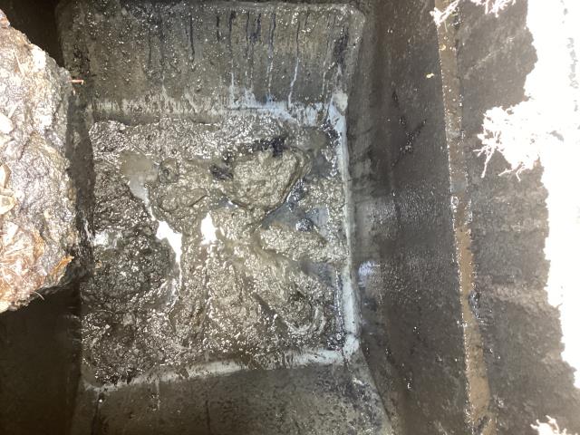 
We went out to this property in Goldsboro to do a septic inspection. We pumped out the system and looked over the tank very well. We found that the septic system is not in good condition and needs to be replaced.