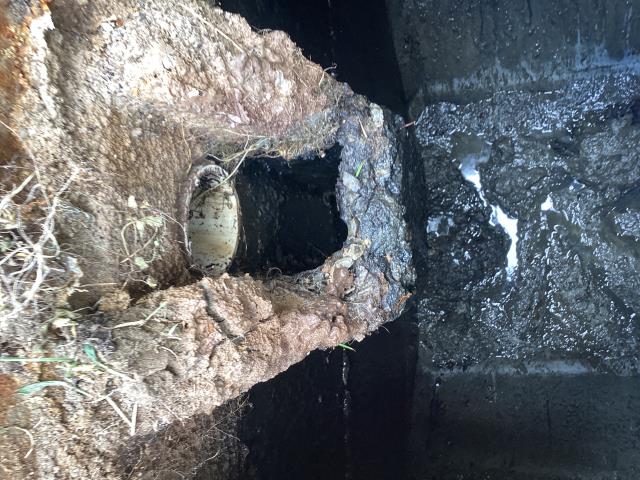
We went out to this property in Goldsboro to do a septic inspection. We pumped out the system and looked over the tank very well. We found that the septic system is not in good condition and needs to be replaced.