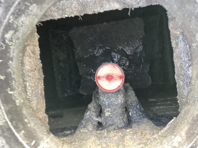 
We were called out to a customer's home in Pikeville to address a sewer back-up issue. We pumped out the septic system and cleaned out the drain line. The customer is no longer experiencing any signs of back-up.