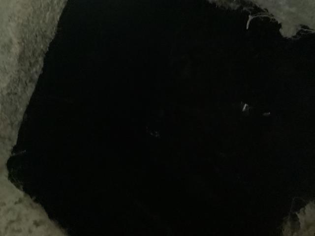 
We were called out to inspect a septic system that was under the porch. Upon arrival, we found that the system was in good condition.