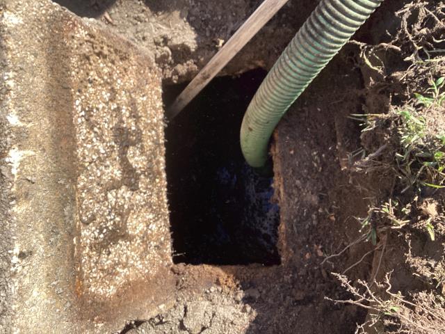 
I was called out to a customer's home in Goldsboro to address a sewer back-up issue. Upon arrival, I found that the septic system was full and needed to be pumped out. I pumped out the septic system and cleaned up the area. The customer is no longer experiencing any signs of back-up.