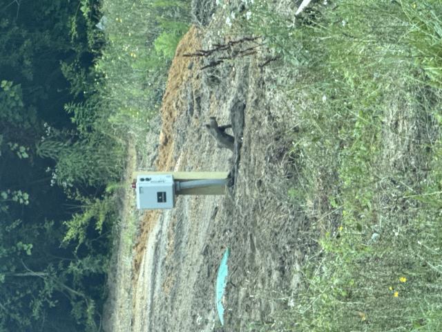 
I went out to this property in Pikeville to complete a septic pump inspection and start up the pump. I started it up and everything is running as it should.