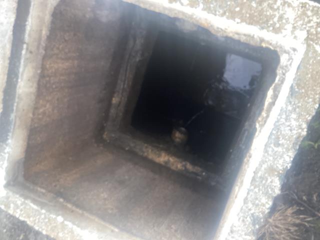 We were called out to a business in Dudley that had a back-up issue. We went out and found that the septic system was full and needed to be pumped out. We pumped out the septic system and cleaned it up. The customer is no longer seeing signs of sewer back up.