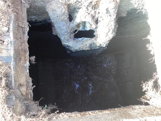 
I was called out to a customer's home in Pikeville due to signs of sewer back up. I arrived and found that the septic system was full and needed to be pumped out. I pumped out the septic system and cleaned it up. The customer is no longer seeing signs of sewer back up.
