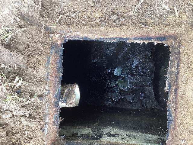 
We were called out to a customer's home in Goldsboro due to signs of sewer back up. We went out and found that the septic system was full and needed to be pumped out. We pumped out the septic system and cleaned it up. The customer is no longer seeing signs of sewer back up.