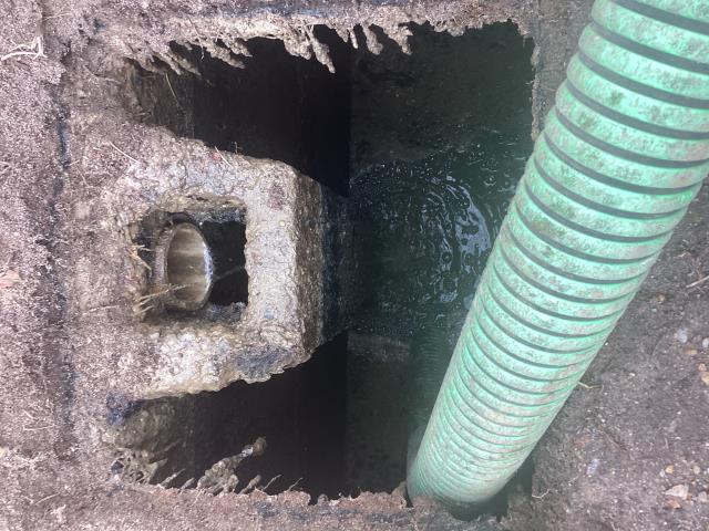 
I was called out to a customer's home in Goldsboro due to signs of sewer back up. I went out and found the septic system was full and needed to be pumped out. I pumped out the septic system and cleaned it up. The customer is no longer seeing signs of sewer back up.