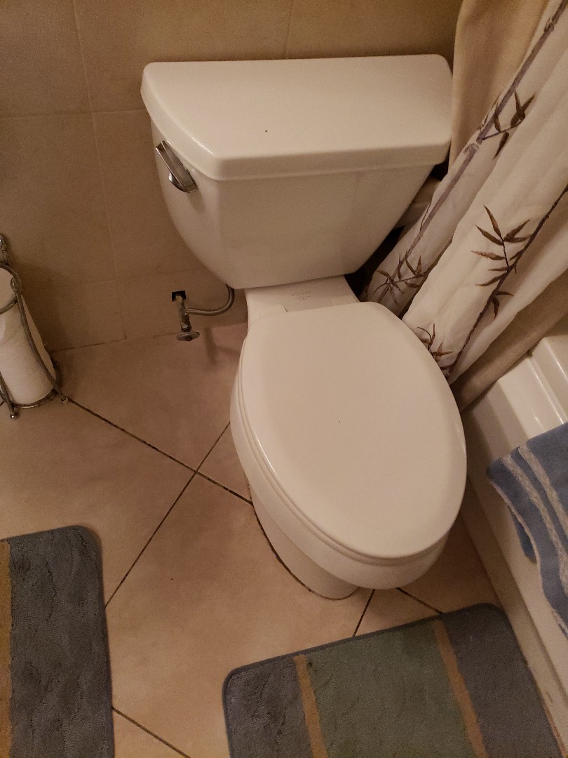 Toilet leaks to apartment below 