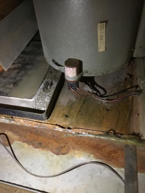 Surprise, AZ - In Surprise,AZ doing a tune up service on a furnace. Recommend replacement of system it is in very poor condition. During service vacuumed out pieces of the indoor coil that are falling off into drain pan. Blower motor has leaked an excessive amount of oil and the capacitor is out of tolerance. Insulation in unit was damaged from a previous water leak and is falling off into the supply ducting of system. If unit is not replaced before summer recommend heavy repairs to system due to condition it is in. Surprise, AZ - In Surprise,AZ doing a tune up service on a furnace. Recommend replacement of system it is in very poor condition. During service vacuumed out pieces of the indoor coil that are falling off into drain pan. Blower motor has leaked an excessive amount of oil and the capacitor is out of tolerance. Insulation in unit was damaged from a previous water leak and is falling off into the supply ducting of system. If unit is not replaced before summer recommend heavy repairs to system due to condition it is in.
