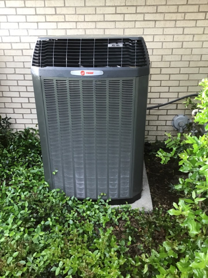 Spring maintenance for the Zandi family, Coppell 