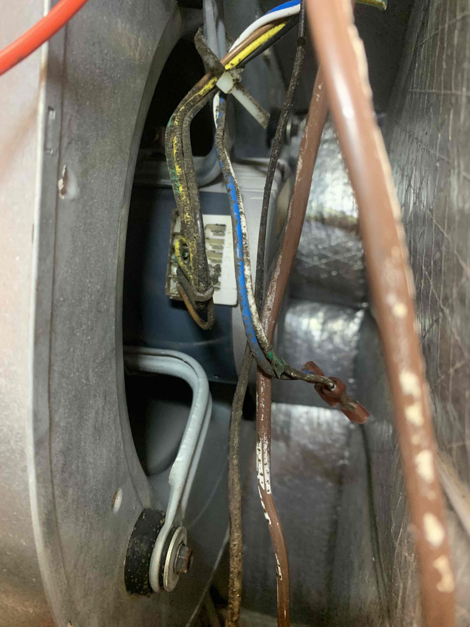 Arrived on site, found only blower motor running without thermostat calling. Tested call for cooling unit was working as intended. Tested low voltage without thermostat calling and found no power on anything other than R. Removed thermostat from wall and unwired low voltage going to blower motor and blower would still run when high voltage was applied. This leads me to believe that the motor is shorted somewhere inside and will not turn off. This could be due to a power surge during the storms on Sunday. Left estimates for motor replacement and surge protection. Homeowner stated she would need to talk with husband in order to determine if this is the route they wanted to take. Unit in working order upon departure.