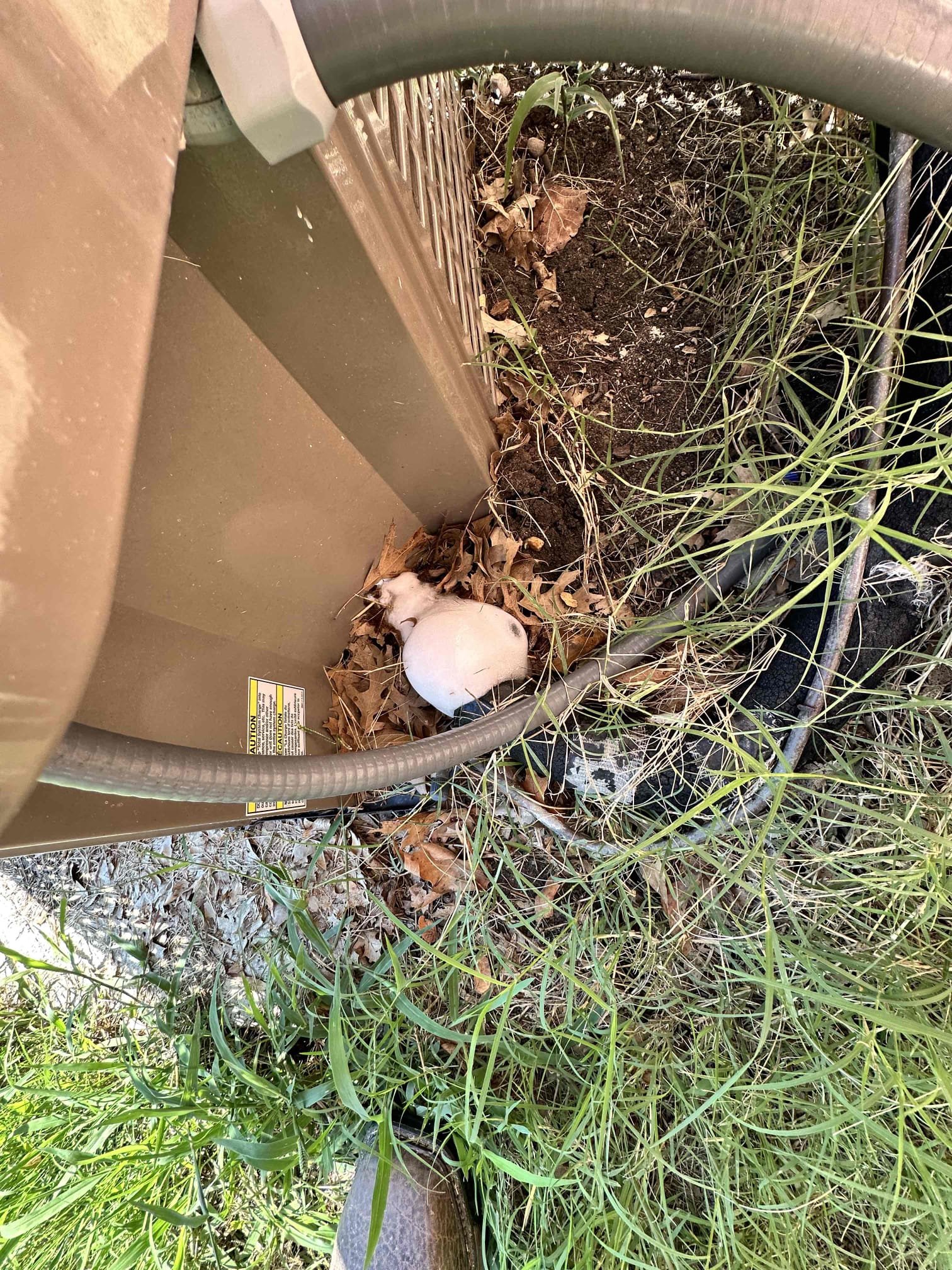 System: furnace 1996 - evaporator coil 2002 - condenser N/A
Upon arrival, I found the system fully frozen. I spoke with the homeowner and he informed me that the blower motor was not operating. I discovered that the blower motor was overheated. I began troubleshooting and found that the capacitor was 1/40. Customer approved the replacement. I waited for the blower to cool down and turned the system on. The blower is back to operating. The filter was completely caked. The customer instructed me to leave it out and that he will get one. Further issues may be present, but I could only test so much due to the system being frozen. First maintenance visit will be heating. The system is a propane unit.  System: furnace 1996 - evaporator coil 2002 - condenser N/A
Upon arrival, I found the system fully frozen. I spoke with the homeowner and he informed me that the blower motor was not operating. I discovered that the blower motor was overheated. I began troubleshooting and found that the capacitor was 1/40. Customer approved the replacement. I waited for the blower to cool down and turned the system on. The blower is back to operating. The filter was completely caked. The customer instructed me to leave it out and that he will get one. Further issues may be present, but I could only test so much due to the system being frozen. First maintenance visit will be heating. The system is a propane unit.
