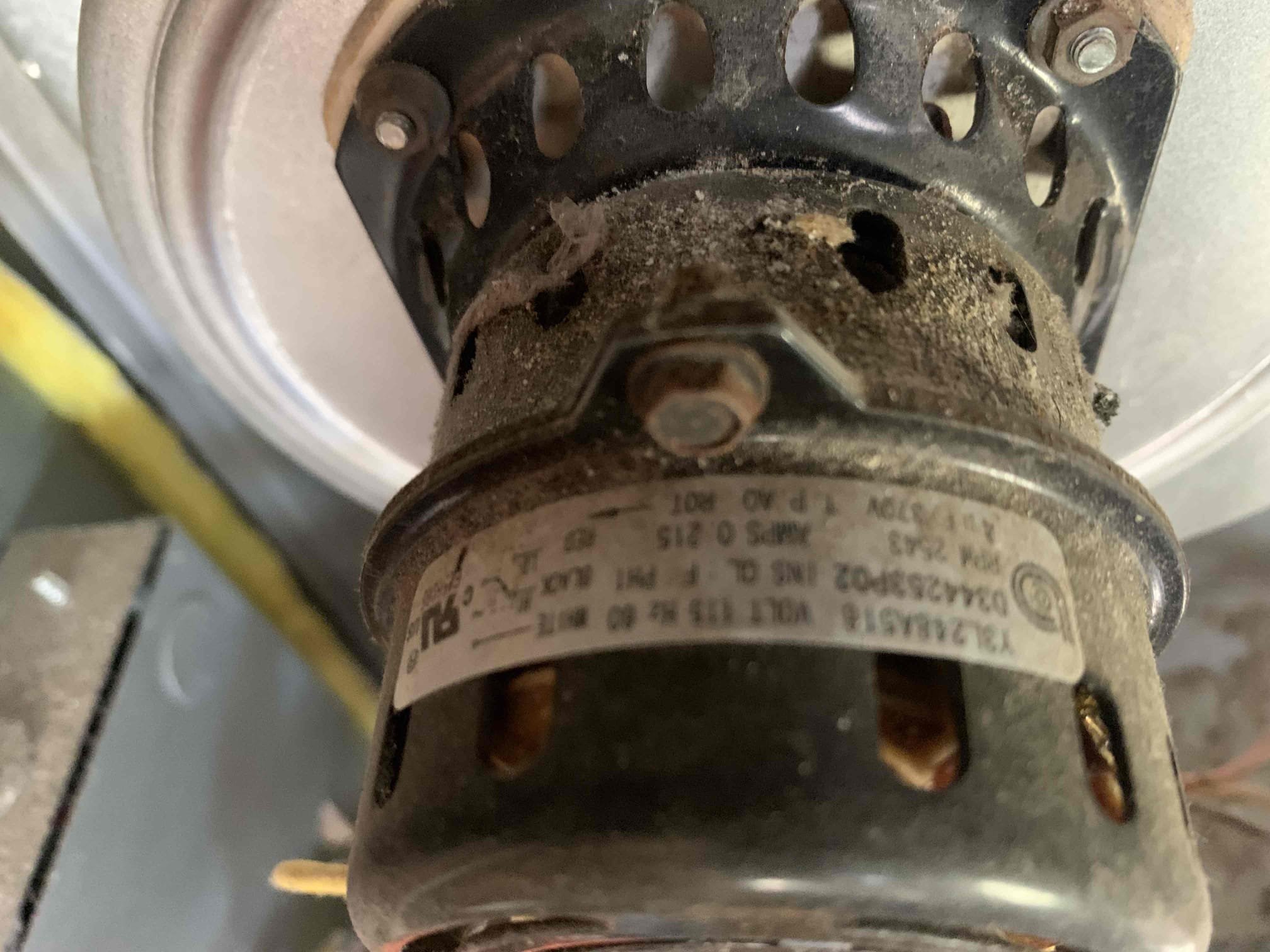 Arrived at our clients home for a tune up inspection. Our client has a trane ion filter. He had not cleaned it since last year. I proceeded to clean the filter and preform a heat maintenance inspection. Kevin explained to me that the outdoor unit has not worked for some time because he needs new high voltage wire run from the panel to the unit. 
Everything is running properly on departure. Our client prefers once a year maintenance and declined a maintenance plan today. 




Do you know that for $60 more you can get two more visits?, Spring and Fall and get advantage for all our benefits?
Ask Details to your Adon's Technician