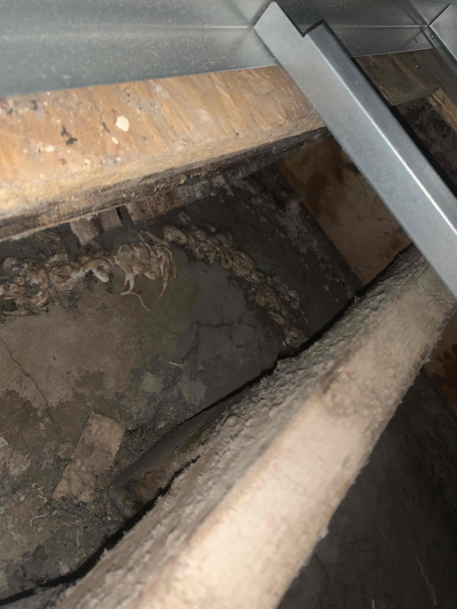 Arrived on site for a heating maintenance on a 3 ton 2023 Trane furnace. Homeowner stated all was well with normal system operation. Began normal heating inspection as scheduled.
 1. Visually inspected condenser coil for debris/ dirty.
2. Inspected condenser fan motor.
3. Inspected condenser fan blades.
4. Inspected/ cleaned wiring connections.
5. Tested for gas leaks
6. Tested functionality and cleaned flame sensor
7. Tested functionality and cleaned pressure switches and ports
8. Inspected / replaced return filter.
9. Inspected return plenum for debris/ dirty.
10. Inspected evaporator coil.
11. Tested functionality and visually inspected surface igniter
12. Checked blower amp draw.
13. Measured temperature differential from supply to return. 20 degrees measured.
15. Rinsed condenser unit to promote heat exchange
16. Measured start amps on outdoor unit
Looking through the notes I had seen that a contactor had burned out early. This could be due to a manufacturer defect, but I wanted t