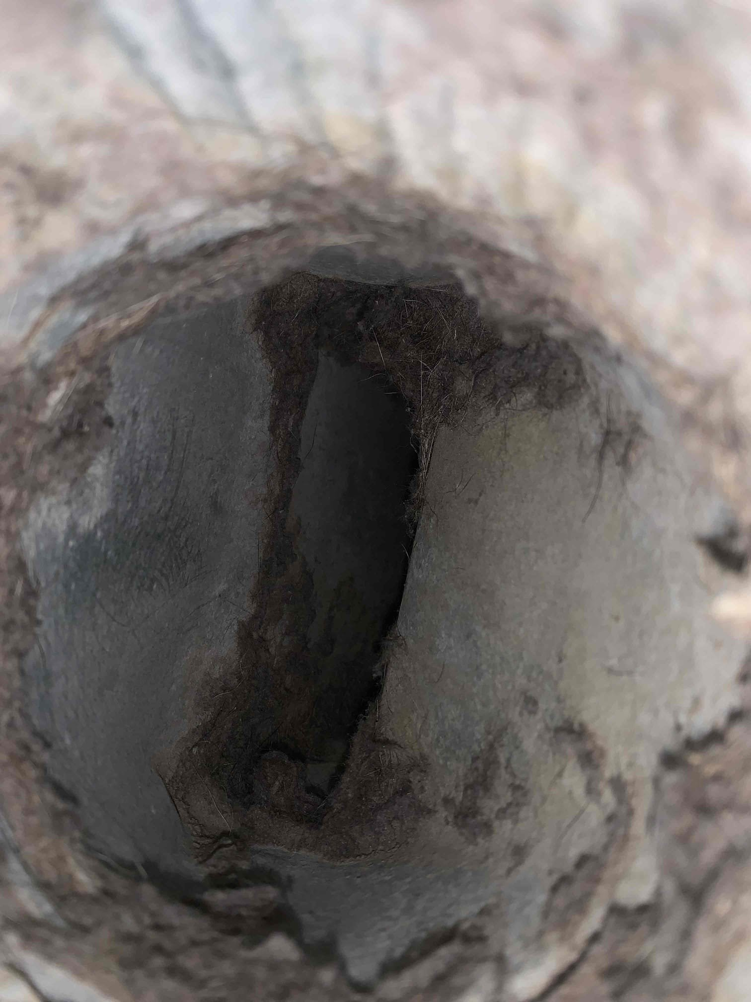 Preformed Dryer Vent Cleaning. Presented before and after pictures of work completed. 


I preformed a single system heat maintenance on a 2024 heat pump. I tested all electrical components inside the unit. All tested within manufacturer specifications. I did changed 5e filter for the client. Aprilaire 210. I proceeded outside to check the electrical components on the outside unit. All tested within manufacturer specifications. Unit was cooling upon departure 