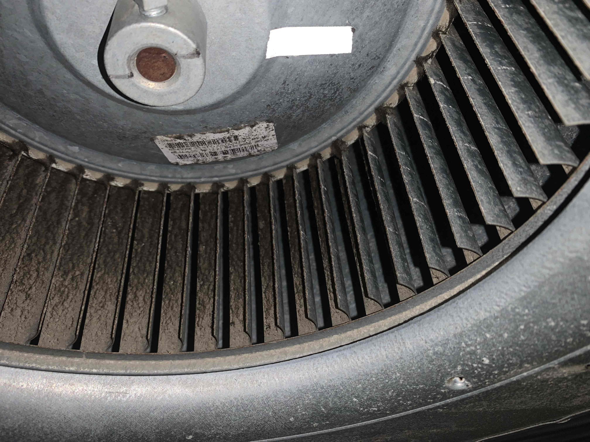 I performed a single heating maintenance on a 2020 airhandler and 2019 410A heat pump system. I checked amps, capacitors, filters, electrical, drains, and safeties. I noticed that the airhandler has bit of build up present on blower motor. I rinsed it the best I could with water. I found that the capacitor has not been changed reading 42/45 on the compressor side. The customer is aware of the capacitor and wants to change it himself. I provided pricing to address the build up on the blower wheel. Unit was heating upon departure. 