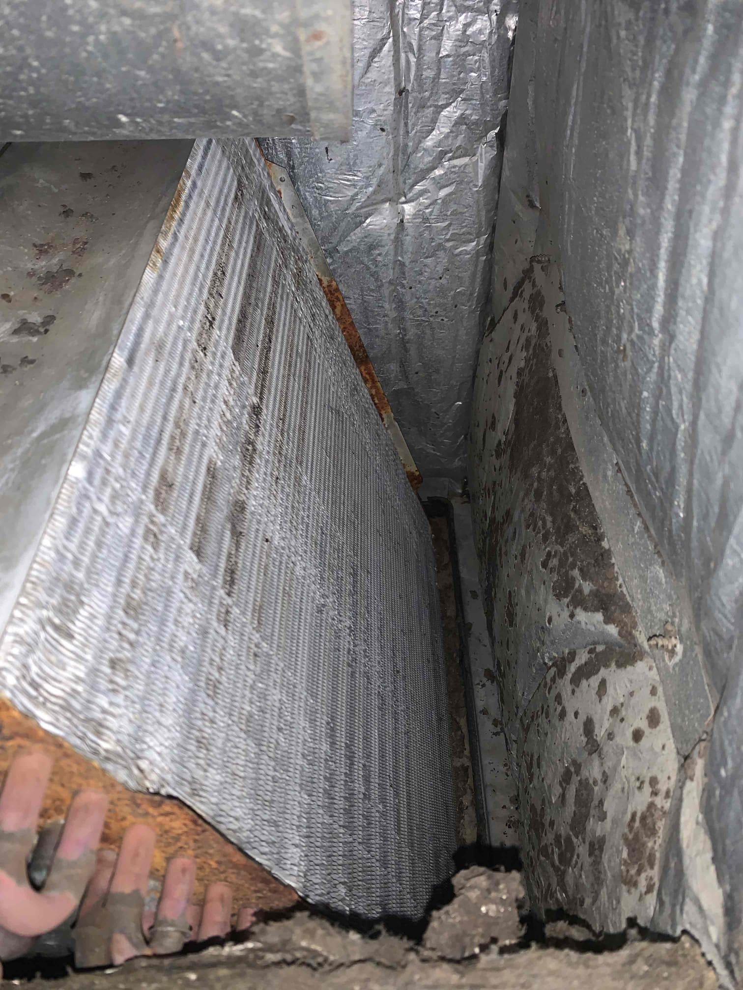 Upon arrival i found the blower motor to not be running. I tested the capacitor on the fan and found it to have failed not allowing the motor to start up. Client wanted to go ahead with repair. After repair heating is working correctly. 

Also offered cleanings due to the condition of the blower wheel. 

7.5 MFD RUN CAPACITOR REPLACEMENT

SIMILAR TO A BATTERY, CAPACITORS HELP START MOTORS BY STORING CURRENT. A DAMAGED CAPACITOR CAN DAMAGE THE MOTOR IF NOT SERVICED. REGULAR MAINTENANCE IS ENCOURAGED.