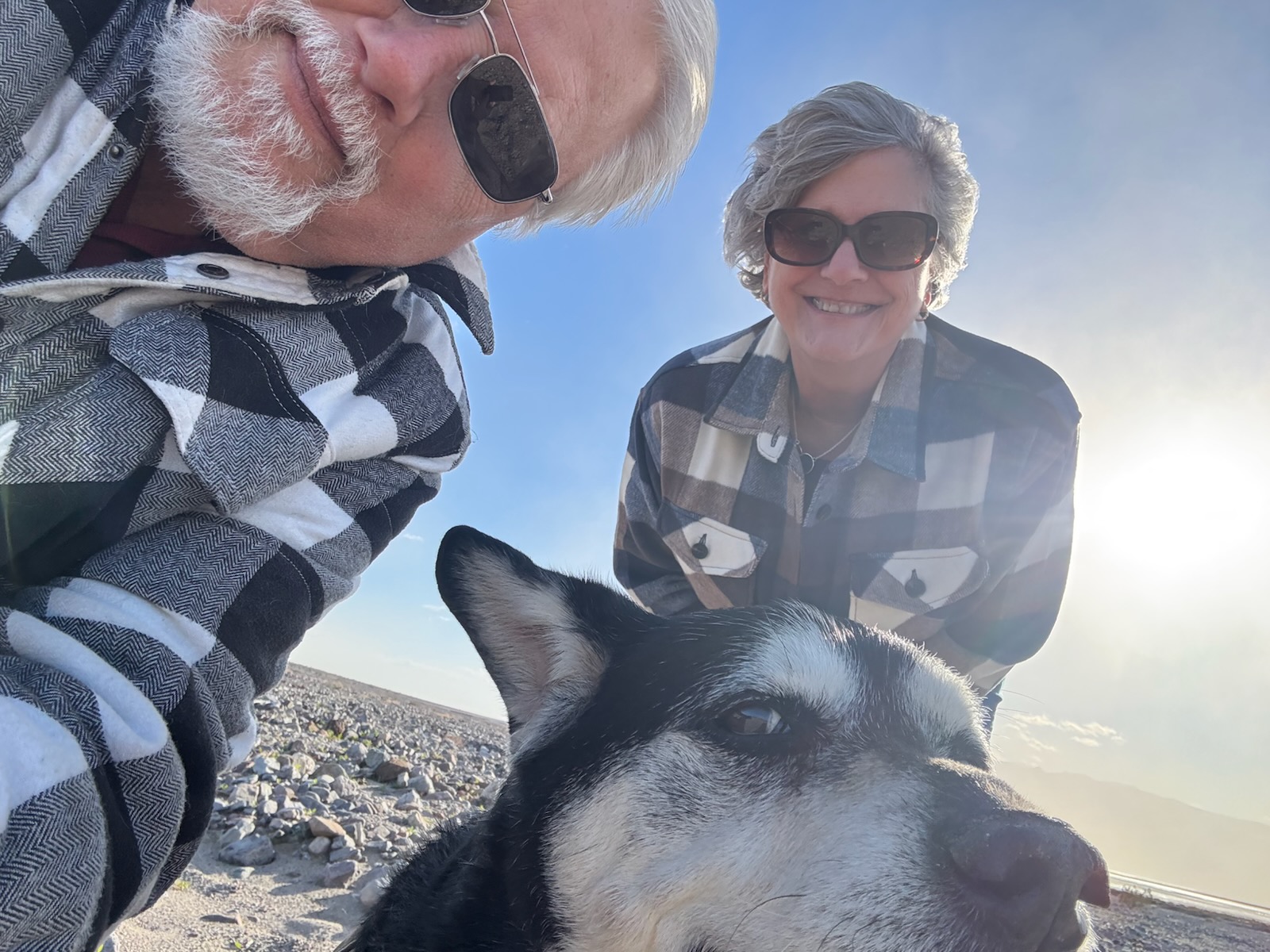 Checked all electrical out on both units everything is working and checked out how it was supposed to. Clients renewed their maintenance membership 