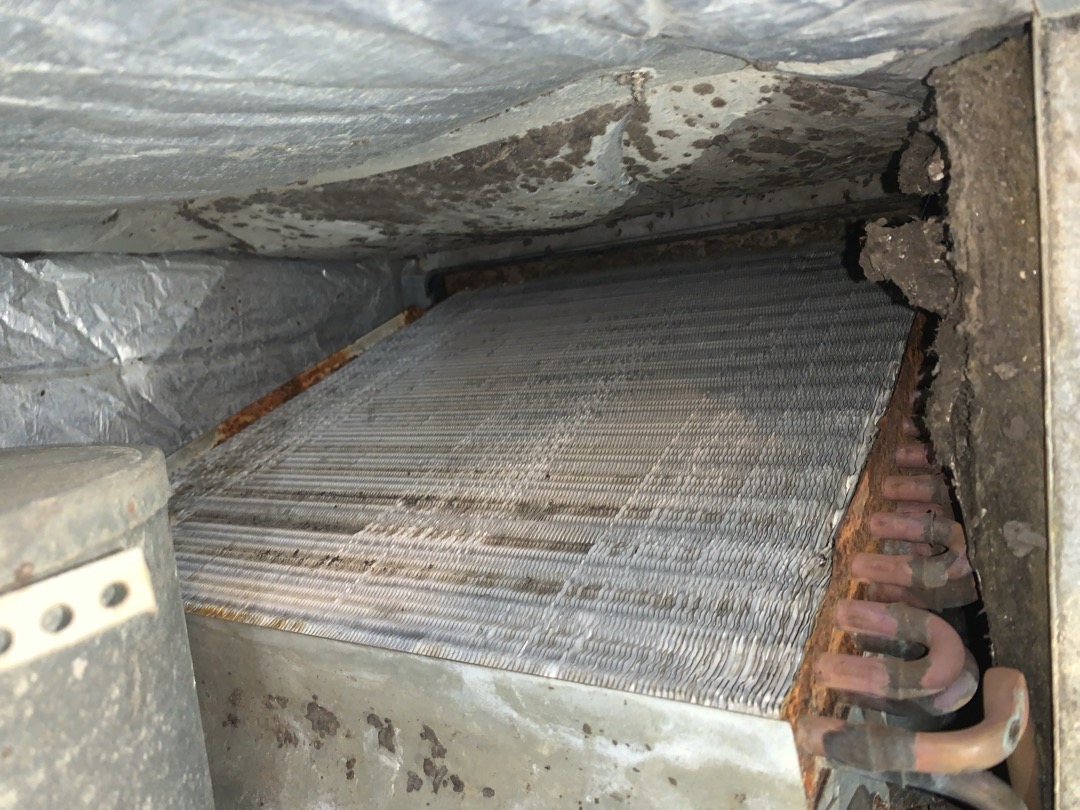 Arrived on site, for no heat on electric heat unit. Found blower motor seized  buzzing and refusing to spin. Found very substantial amount of dust build up on blower wheel. This is likely a major contributing factor to the blower wheel seizeing up. As dust on the blower wheel causes drag which causes the motor to work harder and ultimately shorten the life of the motor. Tested electric heat for power and resistance and found no issues. Tenet relayed information to the land lord and elected to replace the motor and wash the blower wheel give the new motor the best chance. Performed blower wheel cleaning and replaced motor. Tested heat strips to ensure they were still functioning properly and found no issues. Unit in good working order upon departure.