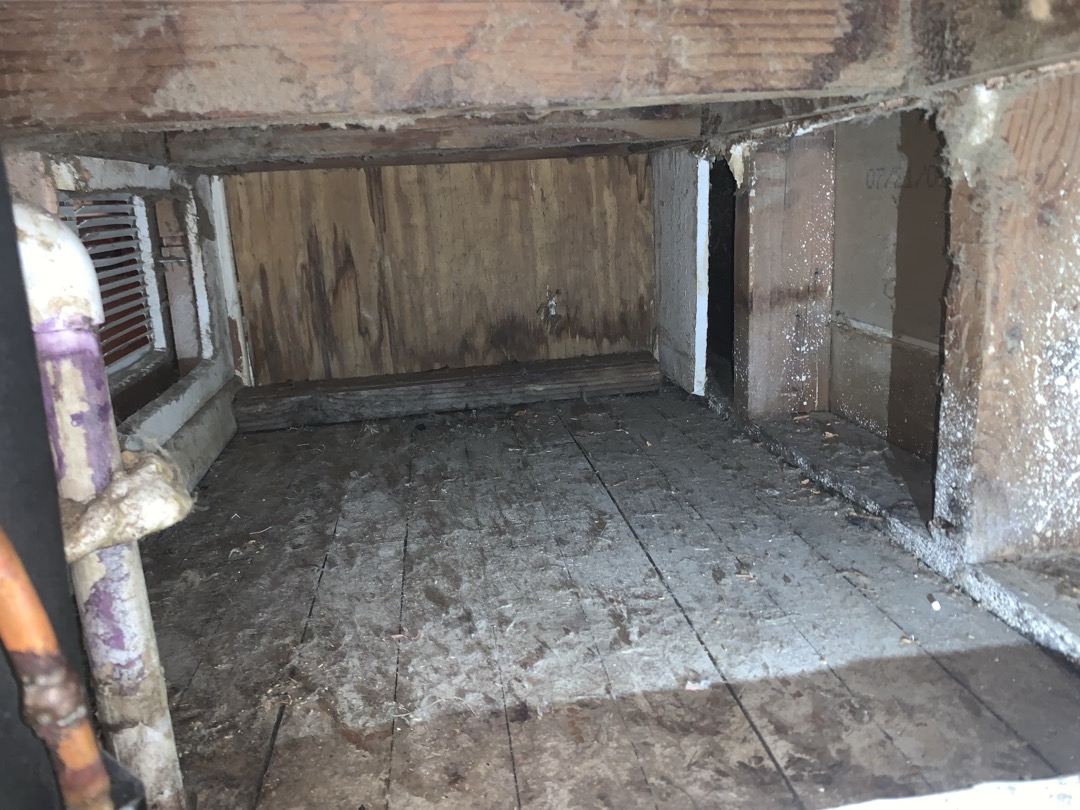 Arrived on site for maintenance on 2023 Trane furnace. Performed maintenance as scheduled.

 1. Visually inspected condenser coil for debris/ dirty.
2. Inspected condenser fan motor.
3. Inspected condenser fan blades.
4. Inspected/ cleaned wiring connections.
5. Tested for gas leaks
6. Tested functionality and cleaned flame sensor
7. Tested functionality and cleaned pressure switches and ports
8. Inspected / replaced return filter.
9. Inspected return plenum for debris/ dirty.
10. Inspected evaporator coil.
11. Tested functionality and visually inspected surface igniter
12. Checked blower amp draw.
13. Measured temperature differential from supply to return. 20 degrees measured.
14.Drain line tested with gallon of water for clogs and to push anything trying to solidify out

Found large amount of dust in return underneath unit. It is inevitable that overtime the dust will get sucked up into the unit. It is important to get this removed because dust is the number one killer of AC systems