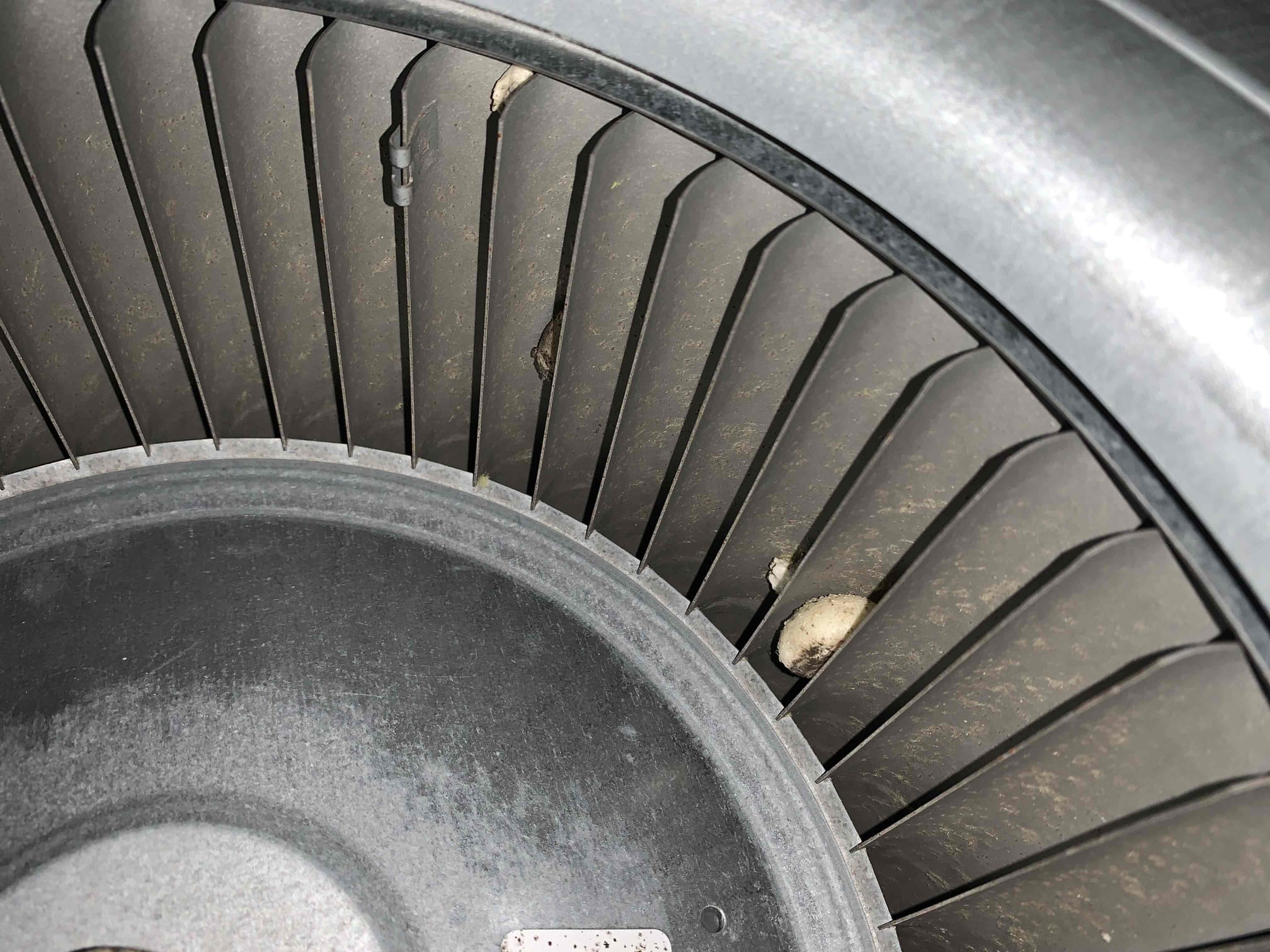 Preformed single system cooling maintenance on a 2021 inside and 2023 outside heat pump. I tested all electrical components on the inside unit. All tested within manufacturer specifications. I did change the filter out for the client today. 20x20x1. Treated drain line with total c. Checked for cleanliness of the mechanical parts. The blower wheel and evaporator coil could benefit from a deep cleaning. I proceeded outside to test all the electrical components on the outside unit. All tested within manufacturer specifications, however the capacitor was testing on the lower ends of the manufacture specifications range at 38.12/40 mfd. The start amps of the compressor were starting higher than 100 amps the manufacturer rating is 110 max amps on start . The unit also doesn’t have any type of surge protection on it. The unit could benefit from having a hard start kit and surge protector installed. The hard start kit will help bring down the high start amps and will help prolong the life of t