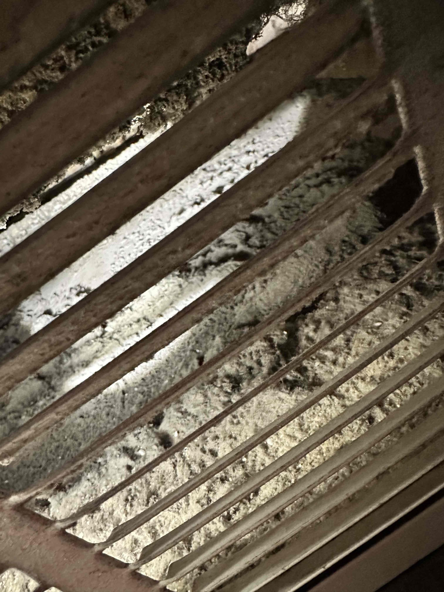 I examined the unit inside and out from cleanliness to visual mechanical issues. I spoke with the realtor about the issues with the system. The system needs a full cleaning inside and outside, the blower motor isn’t far from going out due to no maintenance being done, the system needs to be sealed because of air leaks, the outdoor unit needs to be leveled because it is damaging the compressor, and the PVC drain needs to be insulated to prevent the growth formations. I provided solutions to address all of the issues to get the system into the best possible state it can be in and for system replacement. 

The system is a 2009 gas system. Closet door is 19 1/4” by 68 3/4.