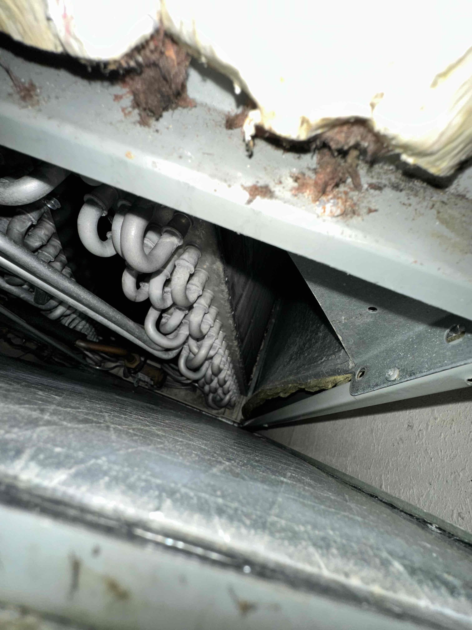 I examined the unit inside and out from cleanliness to visual mechanical issues. I spoke with the realtor about the issues with the system. The system needs a full cleaning inside and outside, the blower motor isn’t far from going out due to no maintenance being done, the system needs to be sealed because of air leaks, the outdoor unit needs to be leveled because it is damaging the compressor, and the PVC drain needs to be insulated to prevent the growth formations. I provided solutions to address all of the issues to get the system into the best possible state it can be in and for system replacement. 

The system is a 2009 gas system. Closet door is 19 1/4” by 68 3/4.