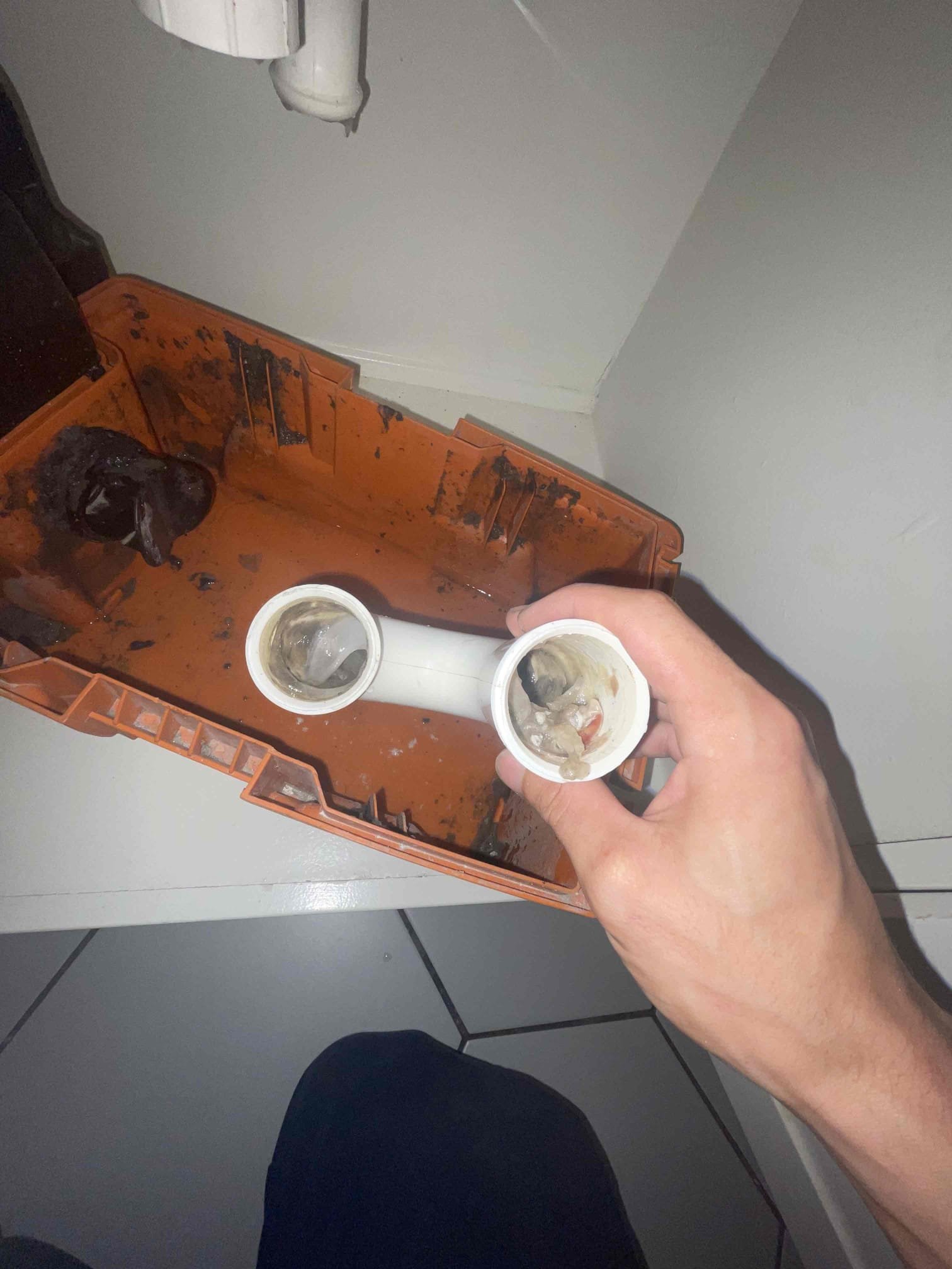  Installed Jv1 blowout valve. Blew out drain lines with nitrogen. Disassembled sink and cleaned p-trap. Tested and flushed with gallons of hot water. 