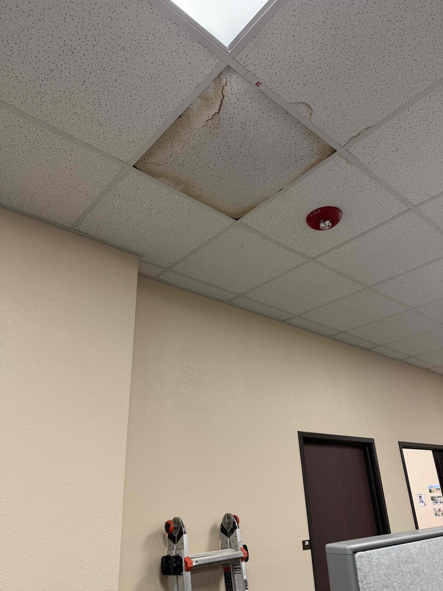 Sherman, TX - The drain was full of zoogloea algae causing water to divert to the emergency drain pan. I received approval to do what I needed to do address the issue with minimal additional water damage. I had to remove 10 gallons of water (2 loads of a 5 gallon bucket) and clear the drain. System is draining and ptrap is primed  upon departure.