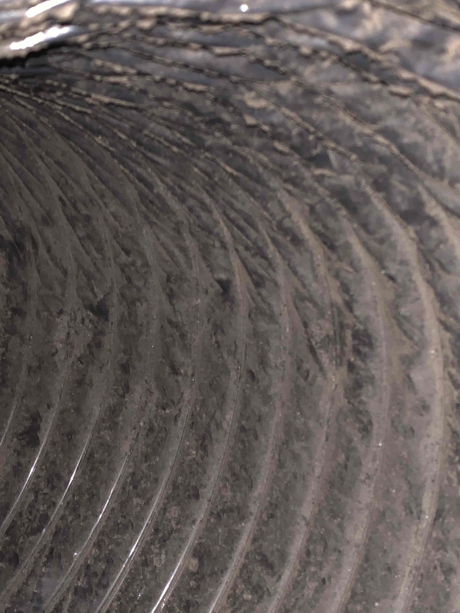 Sherman, TX - Customer wanted estimate for duct cleaning. 12 supply runs and 2 returns. Recommended level 1 duct cleaning. 