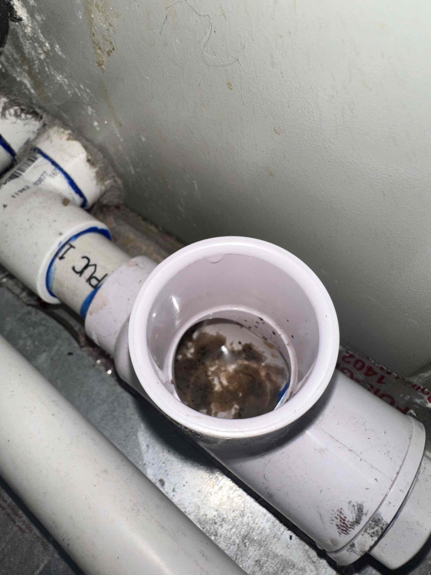 Richardson, TX - No cool on single system heat pump. Customer stated that nothing was coming on at all when thermostat was calling for cool. Found that primary drain line was clogged up and tripping the float switch. Cleared primary drain line using nitrogen. Poured a few bottles of water down drain to verify it was clear. System is cooling at this time. 