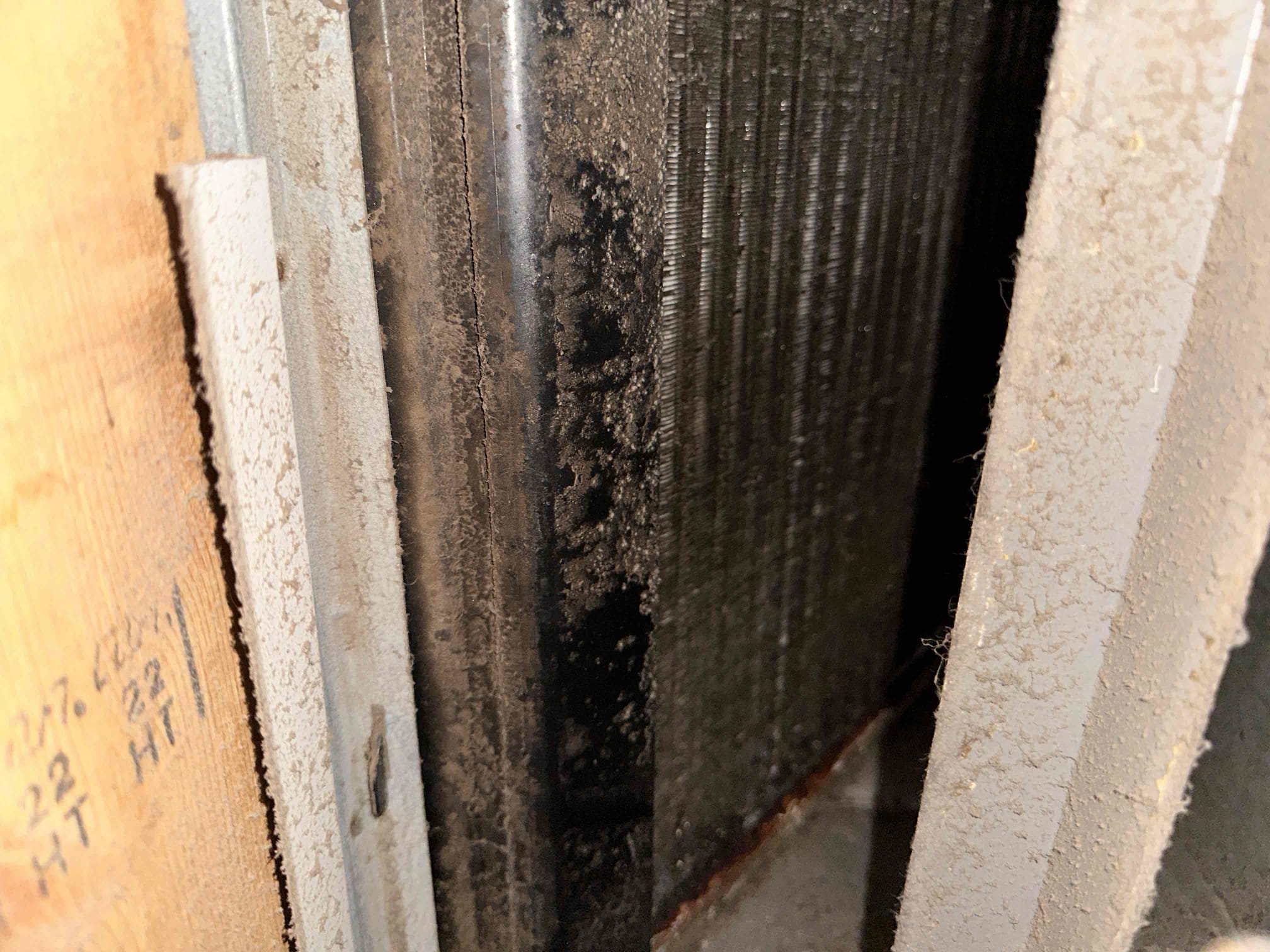 Anna, TX - Arrive for no cool on heat pump system. Tenant had noticed the system wasn’t cooling. They said the indoor unit was not running but when they went outside the condenser was running. There was also ice on the copper lines going into the house. Tenant turned system off for a few hours and then tried it again last night and it has been running since then. From what the customer said, we suspect there is an issue with the indoor blower. Checked capacitor, it was low but not completely dead. Landlord approved replacing the capacitor in case that is why the blower stopped. 

Checked amp draw on motor and it is within its acceptable range, although it is on the high side. The blower wheel is extremely dirty which can lead to overheating and motor failure. Recommend having blower cleaned as soon as possible. Also notice that evaporator coil is heavily covered in biological growth and debris. This will cause cooling and heating issues as well as more stress on the blower and compressor. Recomme