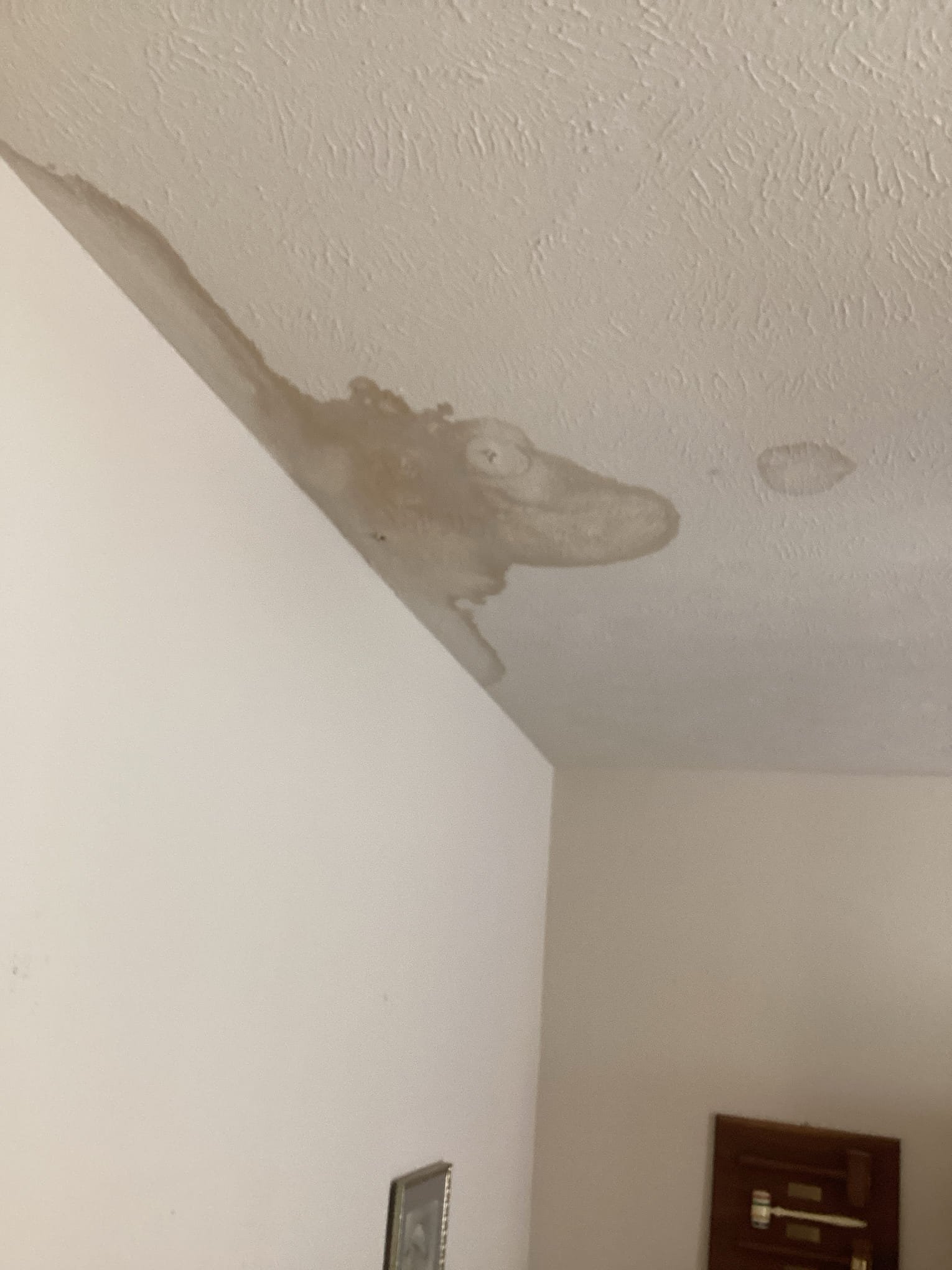 Garland, TX - Found several water marks on ceiling and cat walk upon arrival. T on primary drain line did not have stack on it and drain line was clogged. Tested drain lines and found drain not sloped correctly and also clogged and sink. Unclogged drains sloped system correctly. Added float switch to primary drain pan. Retested drains and everything was flowing well. Signed homeowner up as a member. Recommended homeowner that drain pan has a lot of rust build up. System is currently running at this time 