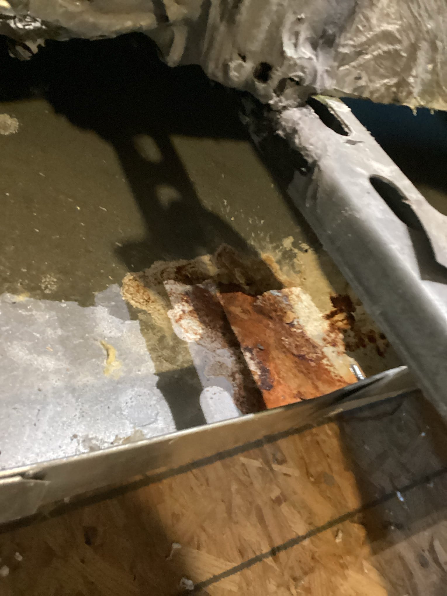 Anna, TX - Customer had concerns about musky smell when they returned home from a trip. There is an air Straver installed in the system. Pulled door off of unit and discovered biological growth on inside of the system. Checked filter and return Plenum. Return ductwork has quite a bit of dirt buildup. Customer is currently using box filters and it is allowing dirt and debris passed it and into the system. Recommend indoor coil and blower cleanings. Sent over estimate to clean return ductwork and do coil and blower cleaning. Also sent estimate for April air conversion kit, customer would like to move forward with this in a few months once he has used all of his filters that he just bought.