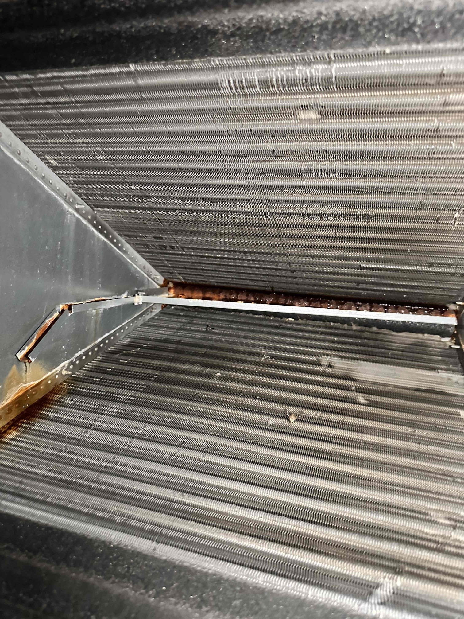 Anna, TX - Customer had concerns about musky smell when they returned home from a trip. There is an air Straver installed in the system. Pulled door off of unit and discovered biological growth on inside of the system. Checked filter and return Plenum. Return ductwork has quite a bit of dirt buildup. Customer is currently using box filters and it is allowing dirt and debris passed it and into the system. Recommend indoor coil and blower cleanings. Sent over estimate to clean return ductwork and do coil and blower cleaning. Also sent estimate for April air conversion kit, customer would like to move forward with this in a few months once he has used all of his filters that he just bought.