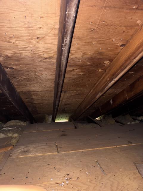 Roof Inspection  Roof Inspection