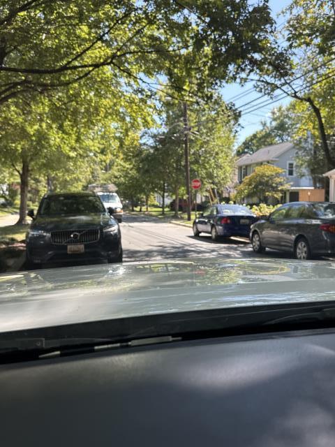 Chevy Chase, MD - Slate and copper  Chevy Chase, MD - Slate and copper